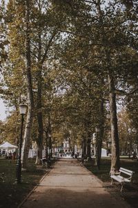 Die Kongressplatz Allee im Zentrum von Ljubljana.