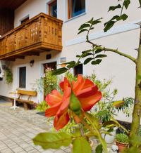 Gästehaus in Slowenien für Übernachtung mit Frühstück und Reiseführung in Oberkrain